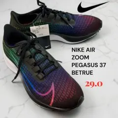 Item thumbnail for item a5b5a65b-f0bc-4a24-b60a-b066293eb51d