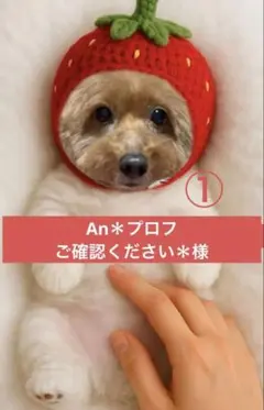 An‪＊プロフご確認ください＊様専用ページ①