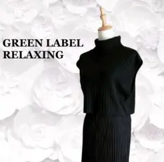 美品『グリーンレーベルリラクシング』ニット セーター【F】ブラック タートル