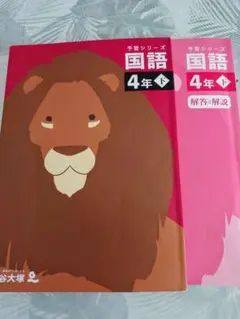 ⭐︎引越処分中⭐︎ドーナツ様 リクエスト 2点 まとめ商品