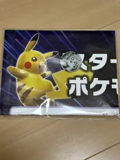 ポケモン ピカチュウ メタルコイン