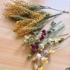 春～ᕷ*.°❇️ミモザとスイートピー❣️ドライフラワー