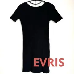EVRIS ミニワンピース Fサイズのサムネイル
