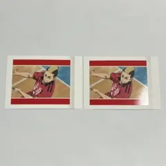 ハイキュー ぱしゃこれ vol.2 劇場版 ゴミ捨て場の決戦 (山本猛虎)