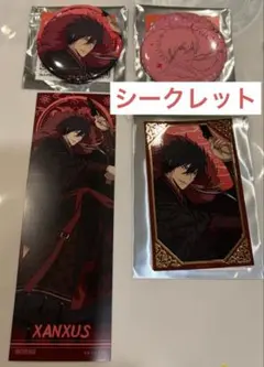 REBORN 武技絢爛 マルイ ザンザス 缶バッジ レア キャラカード 特典