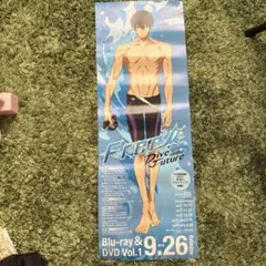 2026年最新】free dive to the future dvdの人気アイテム - メルカリ