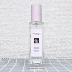 Item thumbnail for item bb73ed81-d6da-4bb0-be1a-793dd9f75607