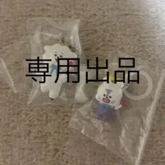 専用出品