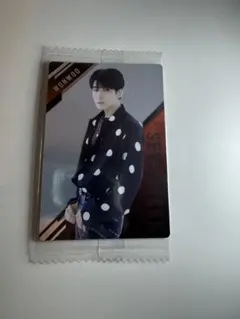 SVT ウエハース　カード　ウォヌ