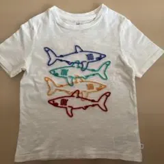 GAP キッズTシャツ サメ柄 半袖 110cm XS 夏　美品