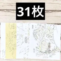 鬼滅の刃 原画 ポストカード 煉獄杏寿郎