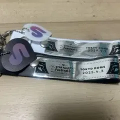 すとふぇす特典キーホルダー