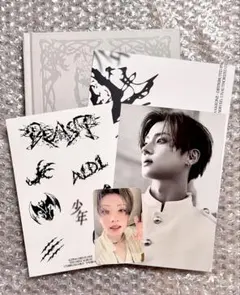 ALD1 少年BEAST Fragile Beast ver. サンウォン