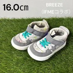 IFME BREEZE コラボ 16cm グレー ペイント ハイカット キッズ