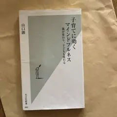 Item thumbnail for item 1fd98d4a-c9b8-4483-91d5-95845a500b41