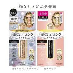 ヒロインメイクリアルラッシュマスカラ 01 20 2本セットのサムネイル