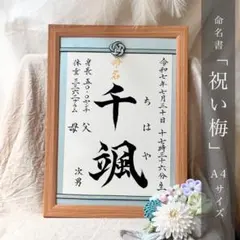 命名書オーダー　水引フレーム「祝い梅」A4サイズ