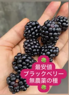 ゆずポン様 リクエスト 2点 まとめ商品