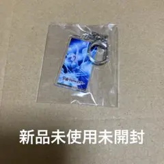 葛城リーリヤ　アクキー　新品未使用未開封