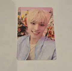 ディノ　ALWAYS YOURS フラッシュプライス盤