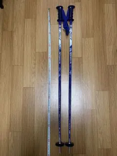今だけ値引き★Hartスキー ストック 約110cm