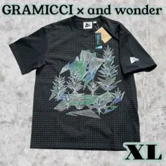 新品タグ付き XL グラミチ×アンドワンダーYOSEMITE Tシャツのサムネイル