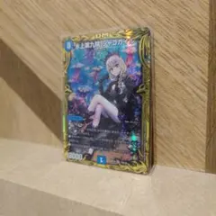 【店舗美品購入品】シャコガイル　B