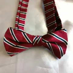 Item thumbnail for item 376646fc-3d3d-44b8-b134-51d49283f901