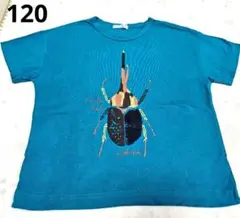 hakka kids ヘラクレスオオカブト Tシャツ 美品　120cmのサムネイル