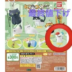 ねこあつめ２　めじるしアクセサリー２　あんけーとさん