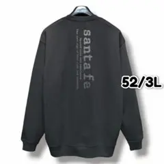 santa fe x SPAORE コラボトレーナー 高機能ウェア 50 td2 - メルカリ