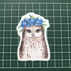 ふくろう 花冠 かわいい フクロウ 梟 防水ステッカー