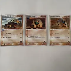 ポケモンカード　コグマ団のコドラ ココドラ　3枚