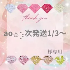 ao✩⡱次発送1/3〜様