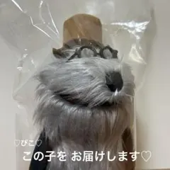 パペットスンスンポップアップストアぬいぐるみCandy Store 限定ゾンゾン