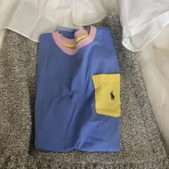 POLO RALPH LAUREN ポニー　カラフルTシャツ L/G