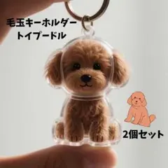 【新品未使用】毛玉キーホルダー 1767 トイプードル風 2個セット 遺毛