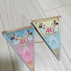 ディズニー 40周年 ペナントチャーム 2個セット ミッキー ミニー TDR