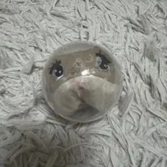 Item thumbnail for item 2abbcb0c-9aec-4237-939d-549ead641998