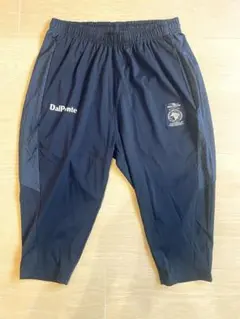 DalPonte ダウポンチ ハーフパンツ ネイビーのサムネイル