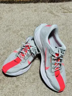 Nike Pegasus Plus 28cm ナイキ ペガサス プラス