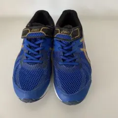 Item thumbnail for item 00834791-95a7-4da8-957b-f11cd1a6117f