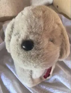 希少うめ吉 ぬいぐるみ犬ベージュレトロ オリエンタルトーイもふもふ