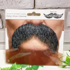 Item thumbnail for item 32ce3950-99a0-4042-9421-bc55e3386a3d