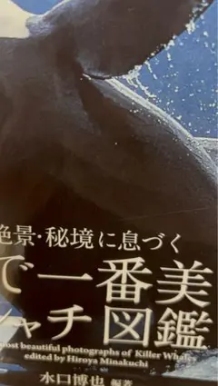 Item thumbnail for item 96c90ab3-0d42-4984-a7c0-cc8ca931d180