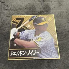 阪神タイガース シェルドン・ノイジー 7 ミニ色紙