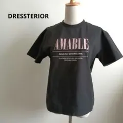 【極美品】ドレステリア　クルーネック　半袖　ロゴTシャツ　ブラックのサムネイル