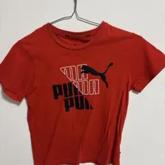 PUMA レッド Tシャツ サイズ140
