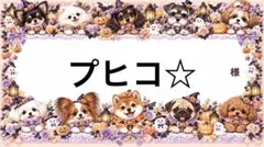 専用
