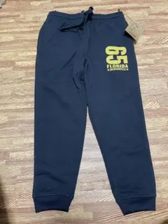 Item thumbnail for item 587a4811-e9b2-4d8d-a341-7b3f136750d7